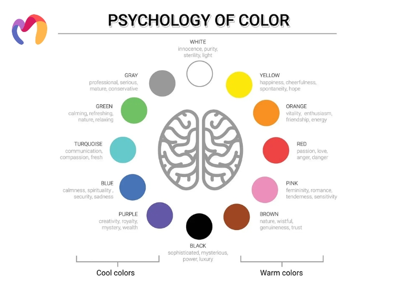 Color psychology guides designers to select hues that evoke specific emotional responses