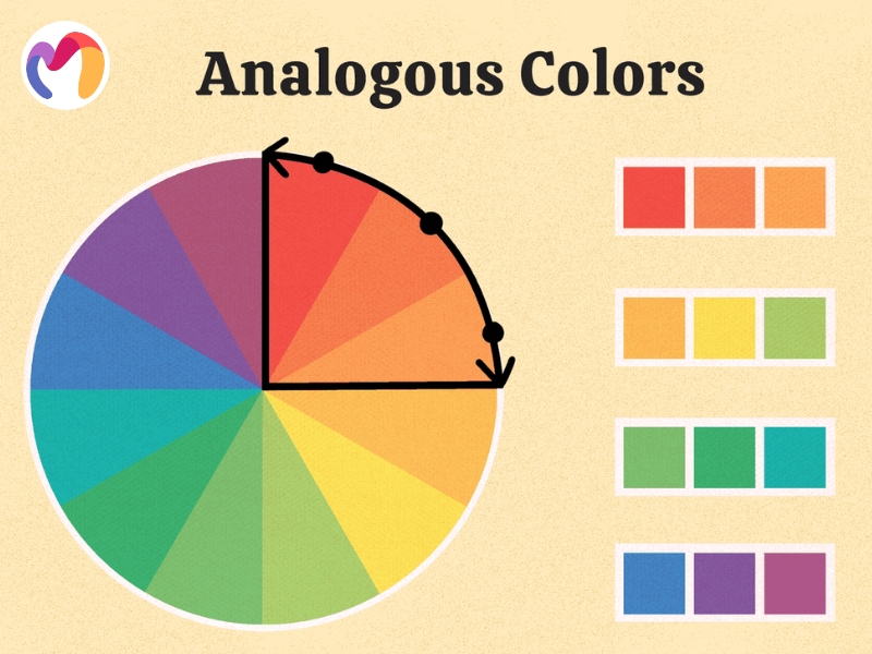 Analogous palettes feature colors positioned adjacent to each other