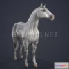 1182284 - PBR Game 3D Model - Andalusian horse PBR