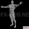 1182390 - PBR Game 3D Model - Apollon Sculpture