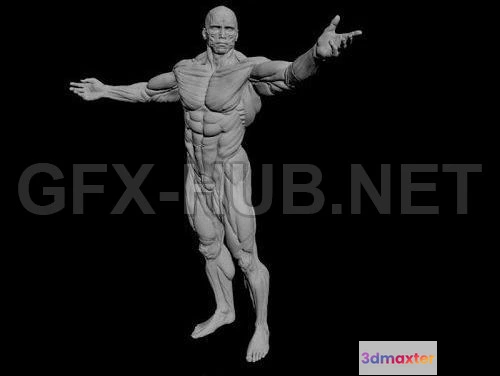 1182390 - PBR Game 3D Model - Apollon Sculpture