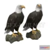 1182686 - PBR Game 3D Model - Bald Eagle