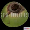 1182872 - PBR Game 3D Model - big coconut