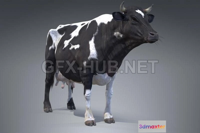 1182906 - PBR Game 3D Model - Black And White Milch Cow PBR
