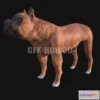 1183042 - PBR Game 3D Model - Boxer Dog