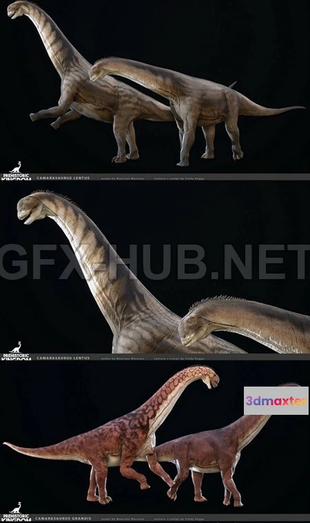 1183206 - PBR Game 3D Model - Camarasaurus  1