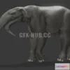 1184006 - PBR Game 3D Model - Deinotherium Giganteum