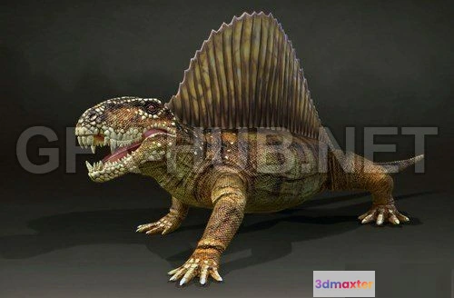 1184078 - PBR Game 3D Model - Dimetrodon