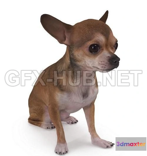 1184118 - PBR Game 3D Model - Dog 4 Full Body scanned