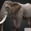 1184338 - PBR Game 3D Model - Elephant PBR