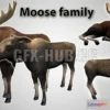 1184750 - PBR Game 3D Model - FOREST ANIMALS short version (21 animals)