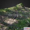 1184752 - PBR Game 3D Model - Forest floor scan