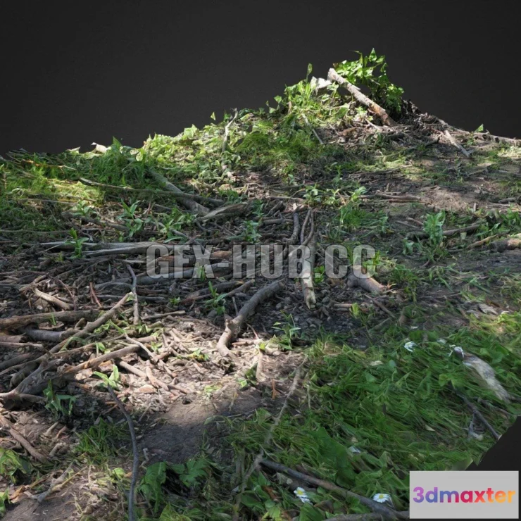1184752 - PBR Game 3D Model - Forest floor scan