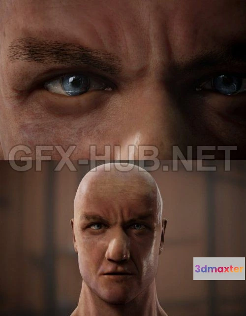 1185368 - PBR Game 3D Model - Head Portrait PBR