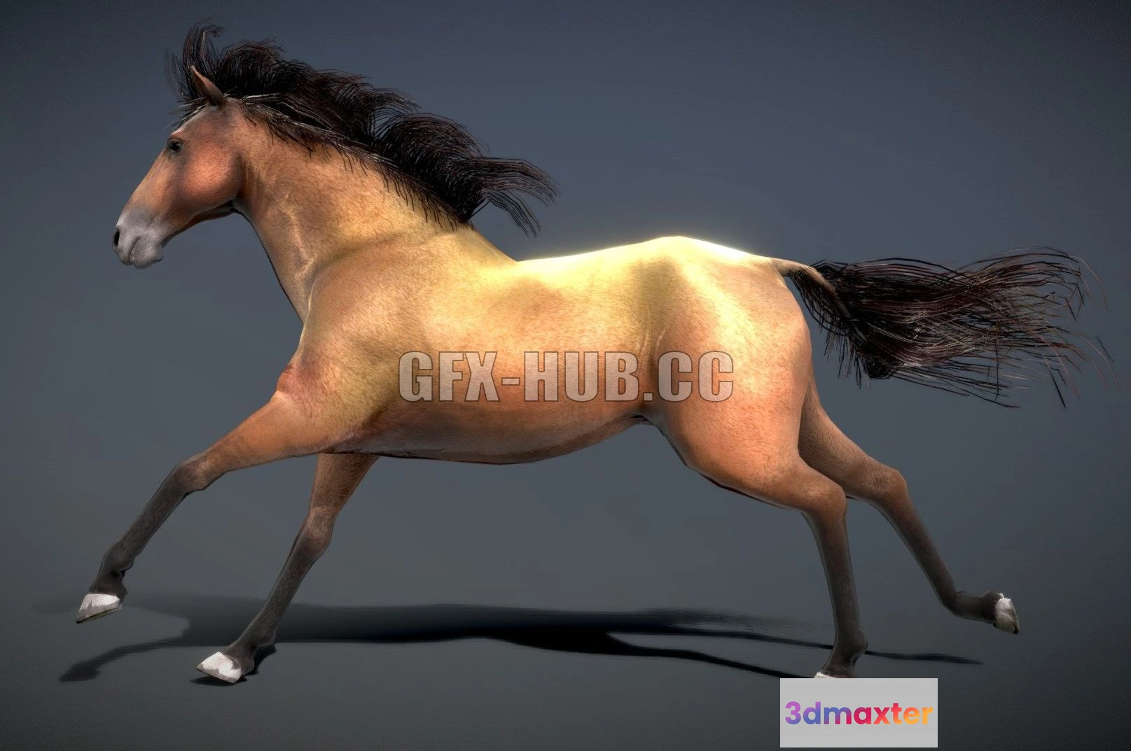 1185530 - PBR Game 3D Model - Horse - Spanish Mustang Brown