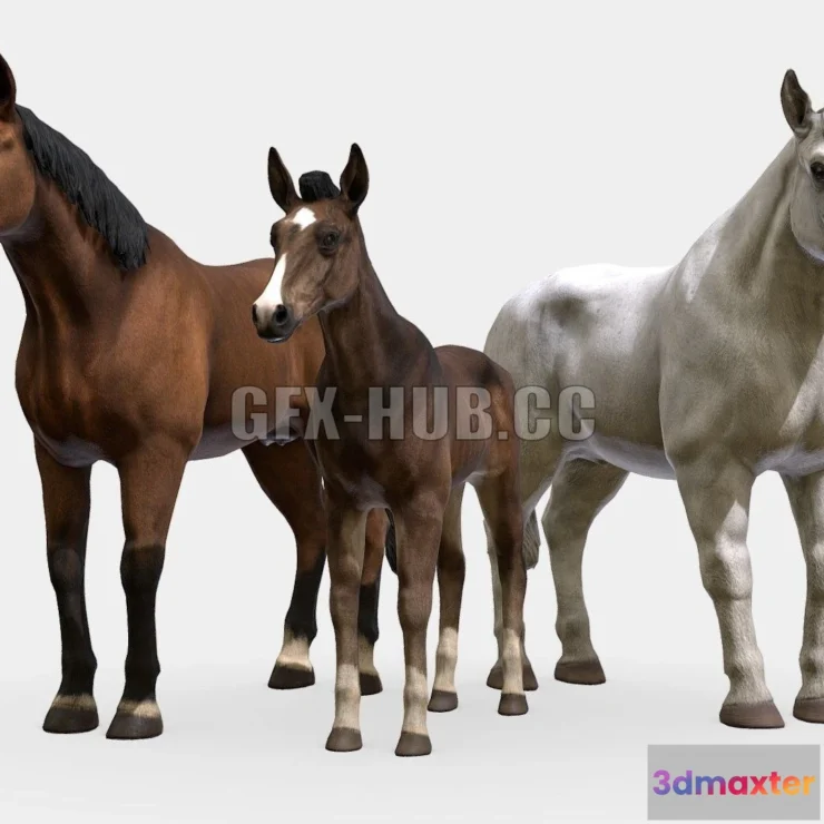 1185532 - PBR Game 3D Model - Horse Family