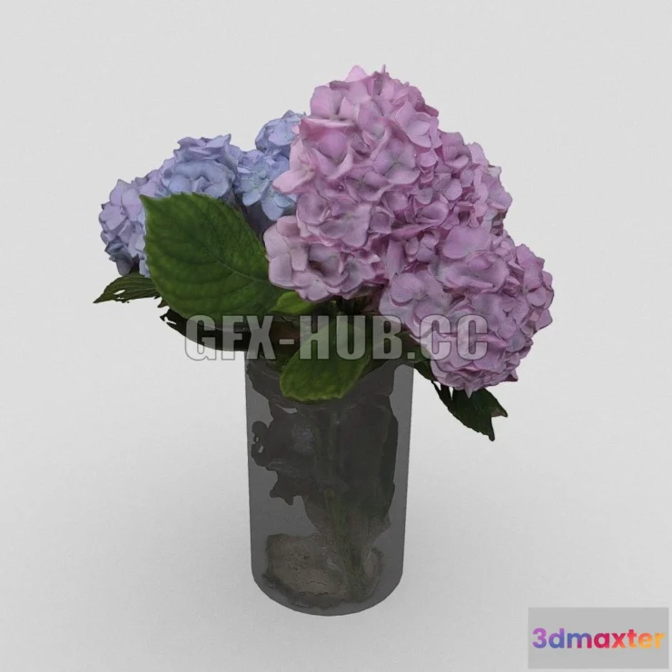 1185622 - PBR Game 3D Model - Hydrangea in Glass Vase