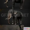 1185664 - PBR Game 3D Model - Indian Elephant