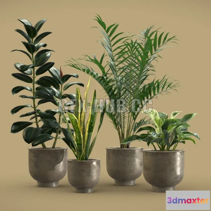 1185674 - PBR Game 3D Model - Indoor Plants Pack 20