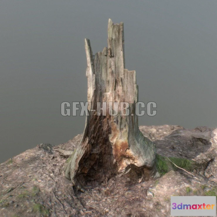 1185766 - PBR Game 3D Model - Irregular tree stump