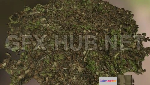 1186160 - PBR Game 3D Model - Leafy ground (obj)