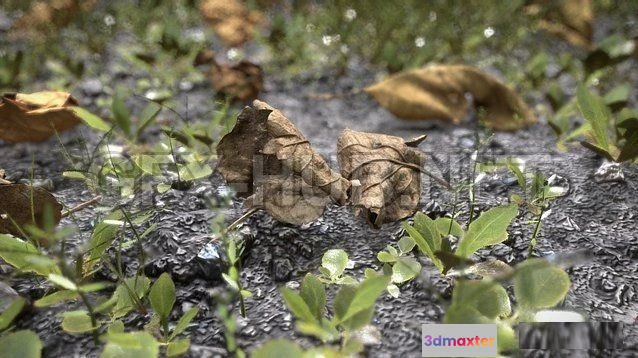 1186184 - PBR Game 3D Model - Leaves on the Ground