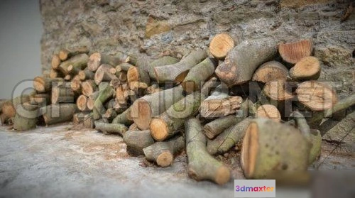 1186306 - PBR Game 3D Model - Logs Pile (obj, tex)