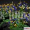 1186384 - PBR Game 3D Model - Low-poly Flower Clerodendron Thomsonae (5 options)