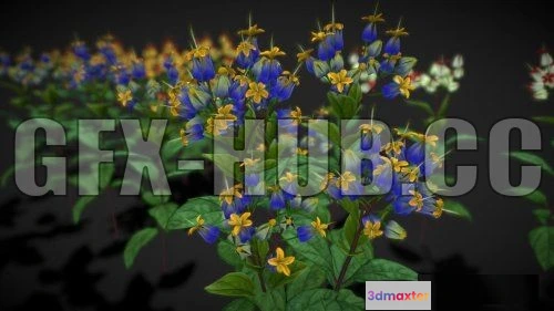 1186384 - PBR Game 3D Model - Low-poly Flower Clerodendron Thomsonae (5 options)