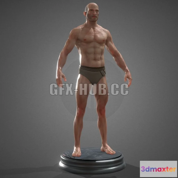 1186582 - PBR Game 3D Model - Male Anatomy
