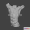 1186604 - PBR Game 3D Model - Male torso anatomy
