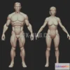 1186616 - PBR Game 3D Model - Man and Woman base shapes figures