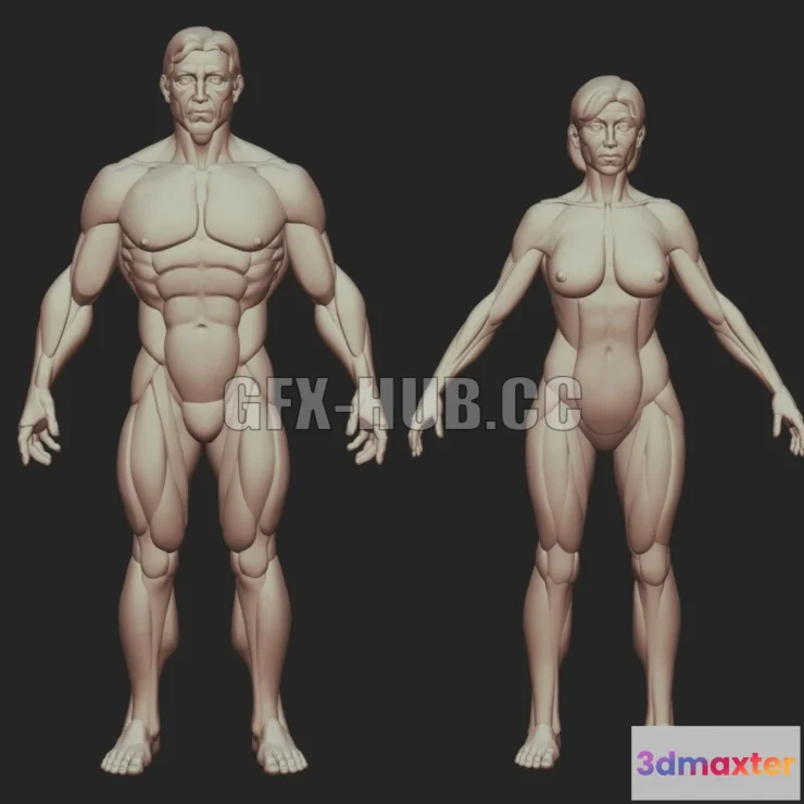 1186616 - PBR Game 3D Model - Man and Woman base shapes figures