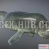1186670 - PBR Game 3D Model - Manatee