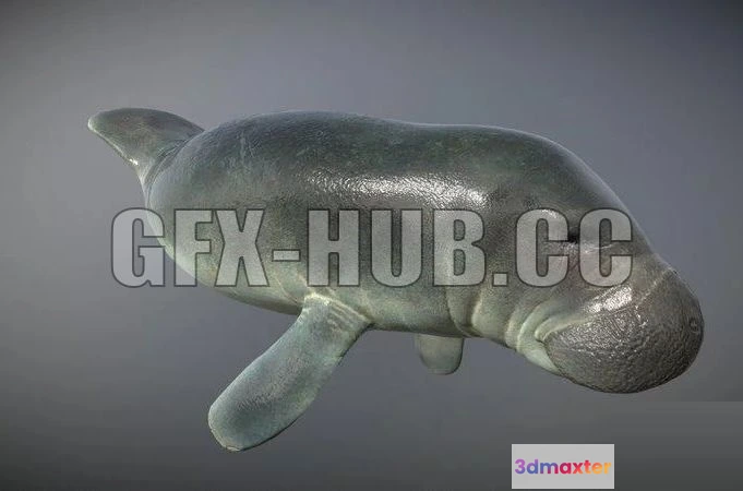 1186670 - PBR Game 3D Model - Manatee