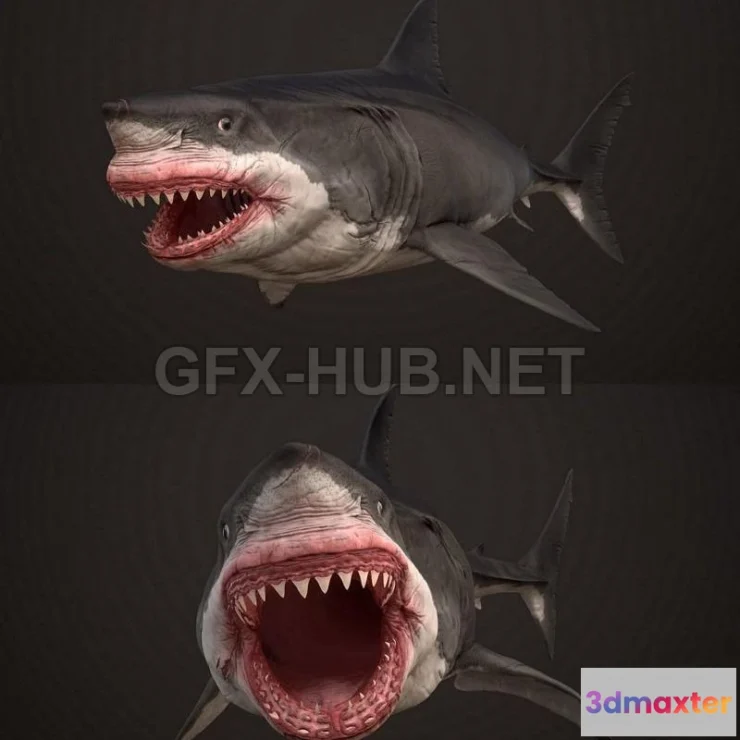 1186856 - PBR Game 3D Model - Megalodon
