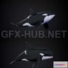 1187746 - PBR Game 3D Model - Orca