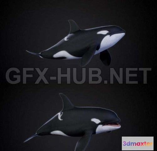 1187746 - PBR Game 3D Model - Orca