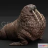 1187800 - PBR Game 3D Model - Pacific Walrus