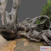1188042 - PBR Game 3D Model - Pohutukawa tree at Red Beach