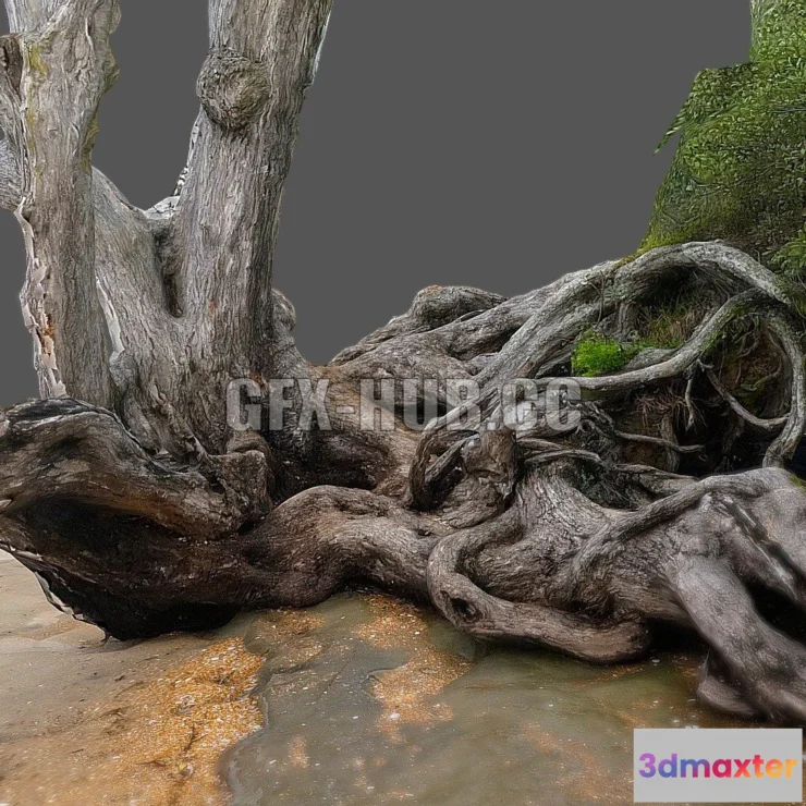 1188042 - PBR Game 3D Model - Pohutukawa tree at Red Beach