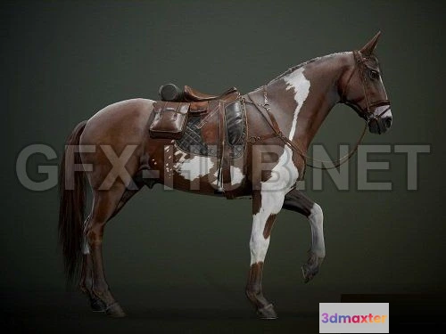 1188248 - PBR Game 3D Model - Ready Horse V2 (max, fbx, obj)