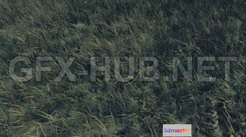 1188260 - PBR Game 3D Model - Realtime Grass