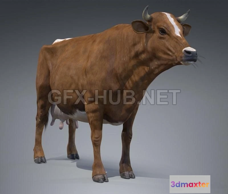 1188268 - PBR Game 3D Model - Red Milch Cow