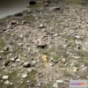 1188414 - PBR Game 3D Model - Rocky Surface