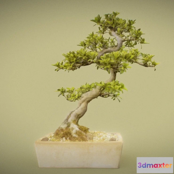 1188532 - PBR Game 3D Model - Satsuki Hanazono