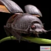 1188550 - PBR Game 3D Model - Scarabaeus Sacer PBR