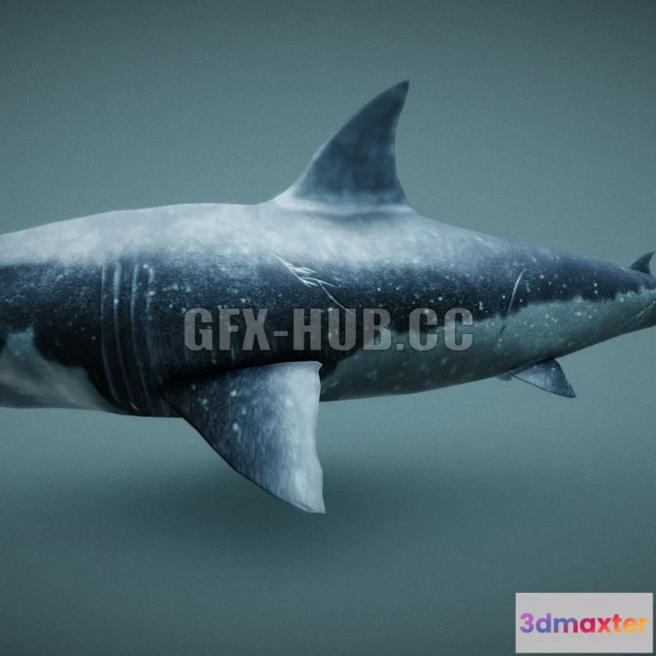 1188728 - PBR Game 3D Model - Shark