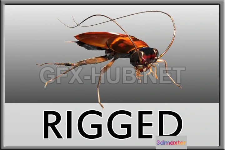 1189480 - PBR Game 3D Model - Turbosquid - Cockroach rigged