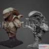 1189954 - PBR Game 3D Model - Xenomorph Bust